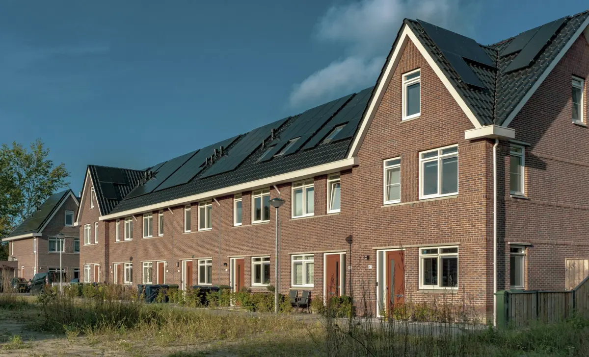 Beste stroomleverancier zonnepanelen: wat telt in 2026